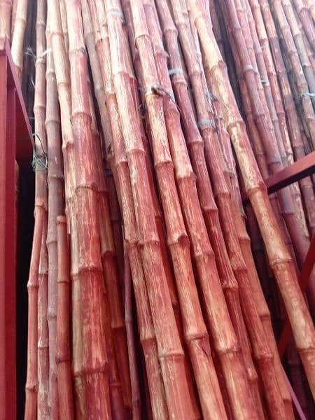 bamboo huts and walls /Bans huts and walls/ bans huts designing 3