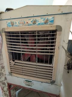 Asia lahori Air cooler