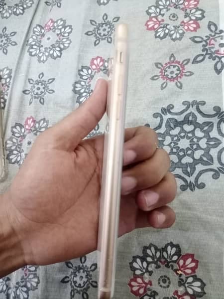 Iphone 8 plus gold PTA approved 4