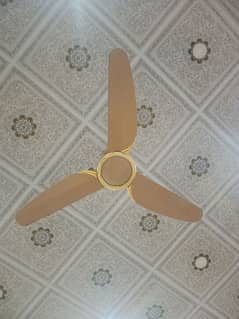 3 Royal Fan for sale (5 month use) only