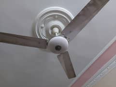 cealing fan good condition