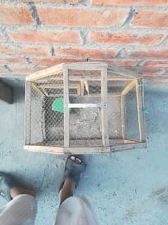 paroot/Chicks cage