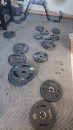 Gym Plates , dumbells and rods