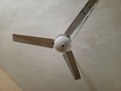2 Ceiling Fans for urgent Sale . . . 1 Fan Full Working, 2nd issue kr rah