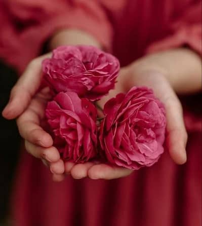 کمیکلز اور اسیڈز سے آذاد صحت