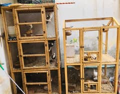 wood cages for birds