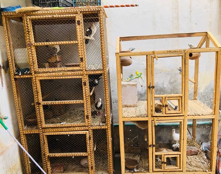 wood cages for birds 0