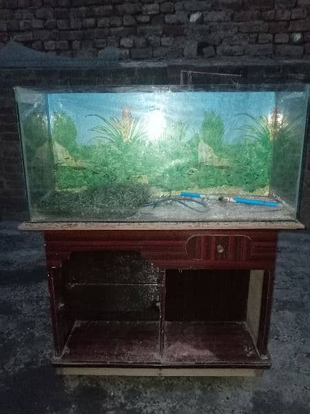Fish Aquarium for sale 1