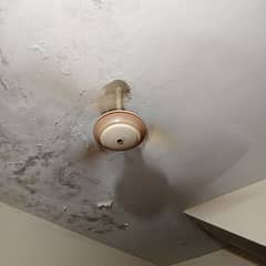 Dawlance ceiling fan performance 10/10 in cooper 03230431084
