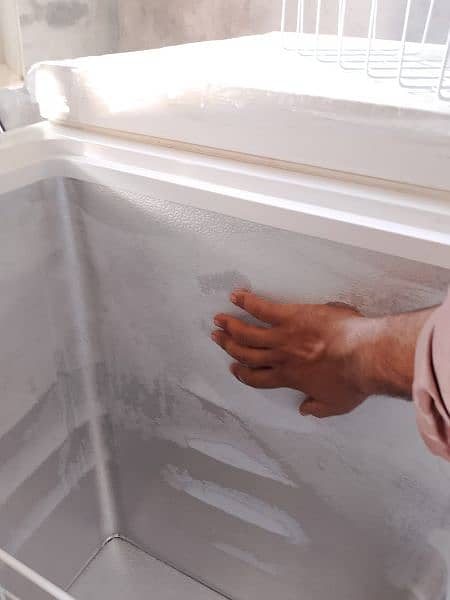 deep freezer double door 12