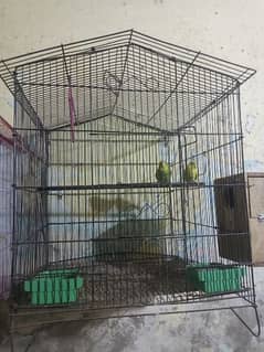 2 cage only 3500