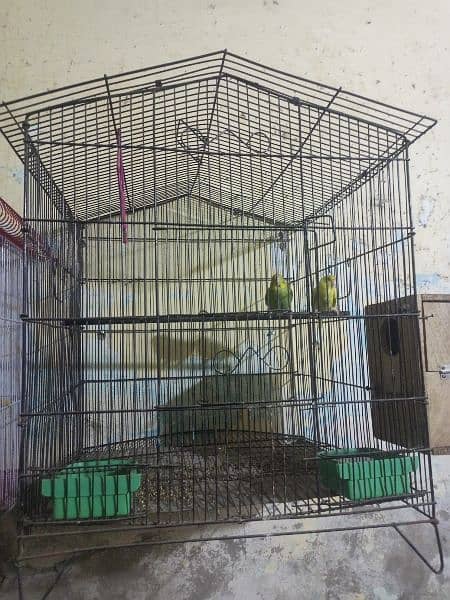 2 cage only 3500 0