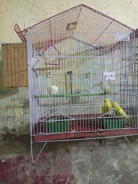 2 cage only 3500 1