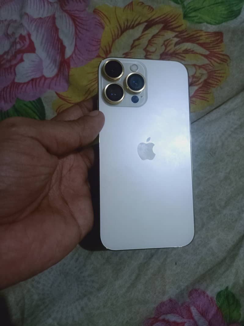 Apple iphone xr convert to 13 pro 10 by 10 0