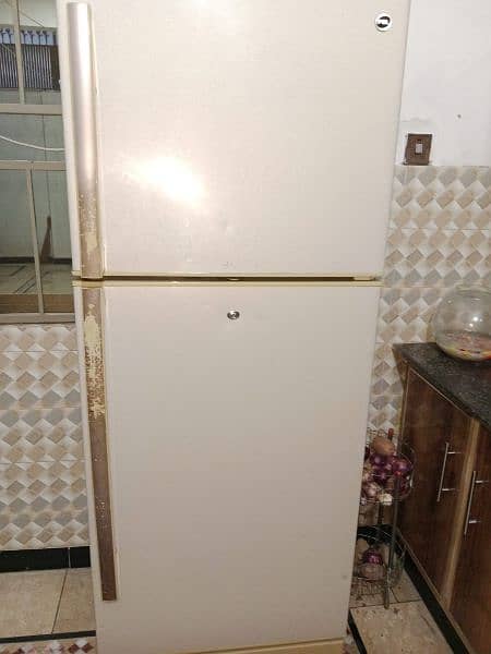 PEL REFRIGERATOR, MEDIUM 03005671711 0