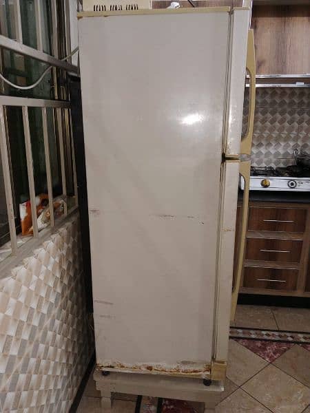 PEL REFRIGERATOR, MEDIUM 03005671711 4