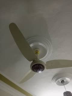 royal ceiling fans only one year used condition 10/10