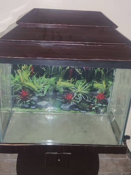 Fish Aquarium 4