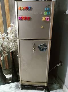 pel aspire fridge for sale urgent 0