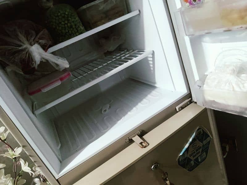 pel aspire fridge for sale urgent 3