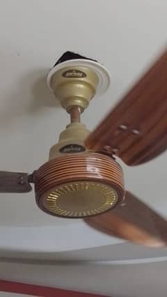 parwaz fancy ceiling fan like new