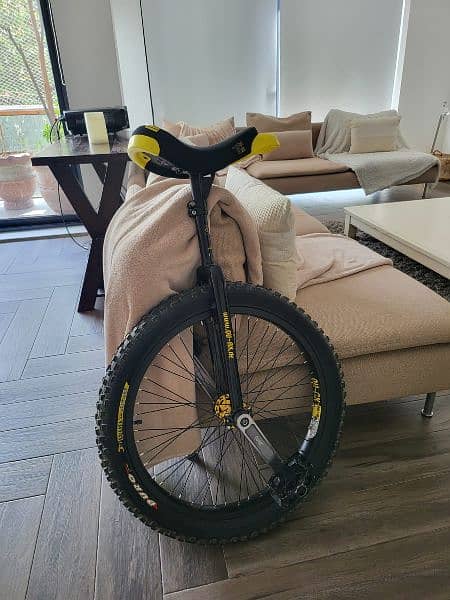 unicycle QU_AX507mm (24") 1