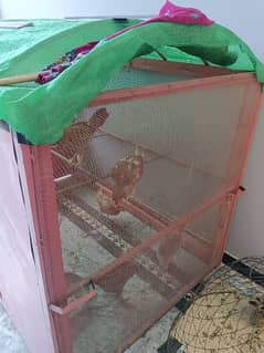 chicken cage for sale . . .