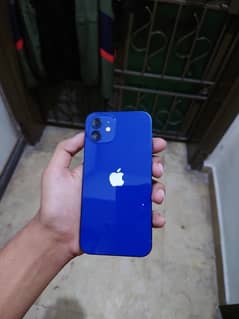 iphone 12 jv apple warranty