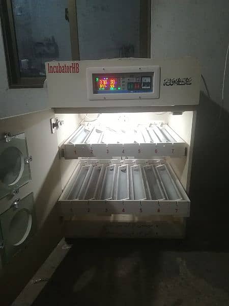 Automatic Incubator 100 eggs 7