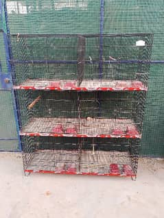 6 pair lovebird setup for sale 2 pairs cocktail 03308743690
