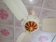 pair of ceiling Fans