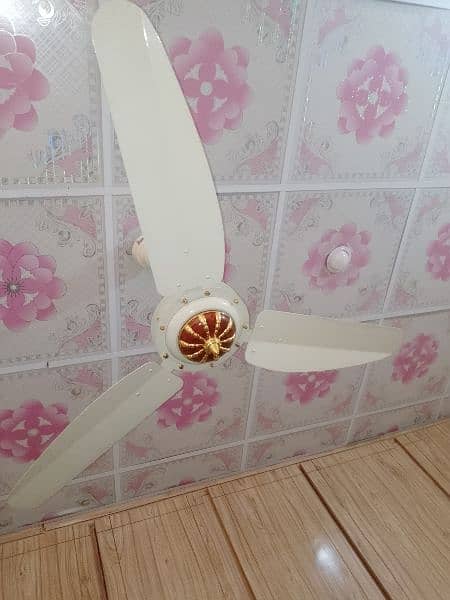 pair of ceiling Fans 1