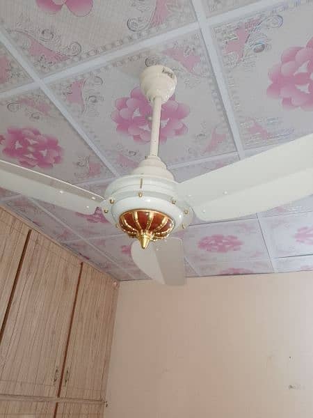 pair of ceiling Fans 2