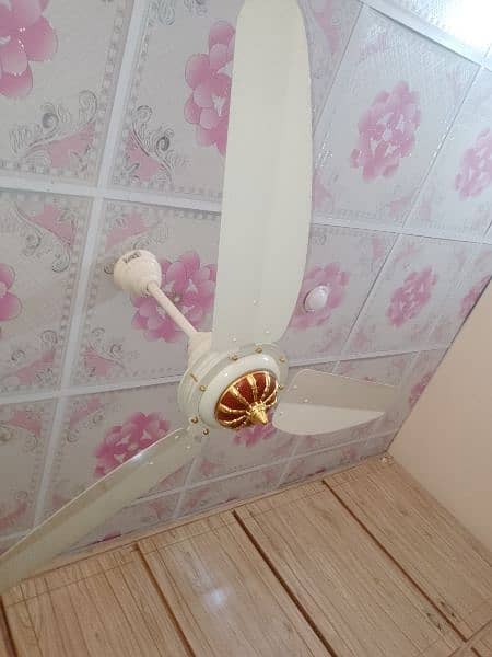pair of ceiling Fans 3