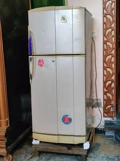 PEL Full Size Refrigerator
