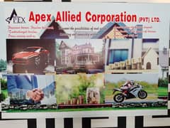 Apex Allied Corporation 0