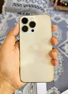 iPhone 13 Pro dual pta approved