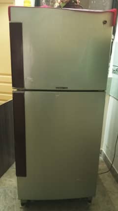 Pel Desire Refrigerator 0