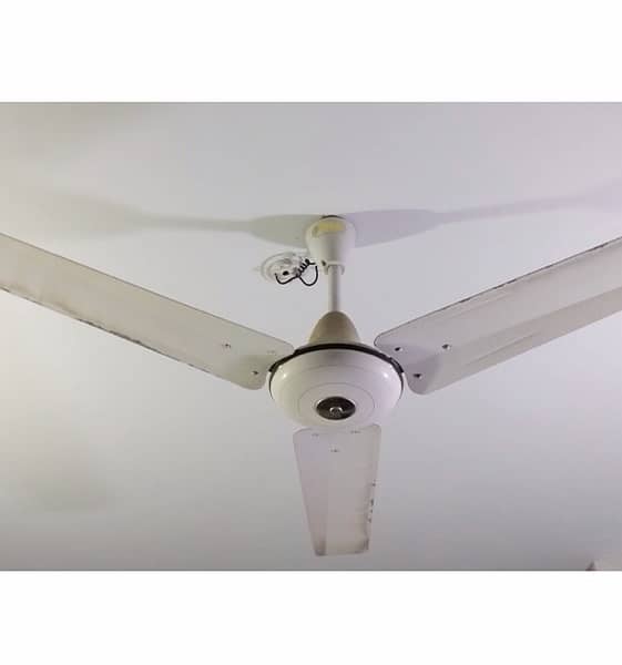 ceiling fans pak fan and polo fan 1