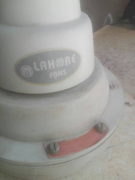 Lahore Fan 3