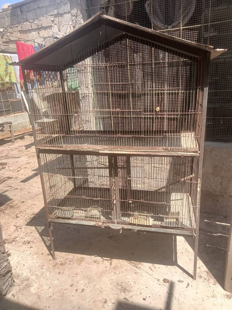BIRDS CAGE ( FOR PARROTS, DOVE AND ETC ) 2