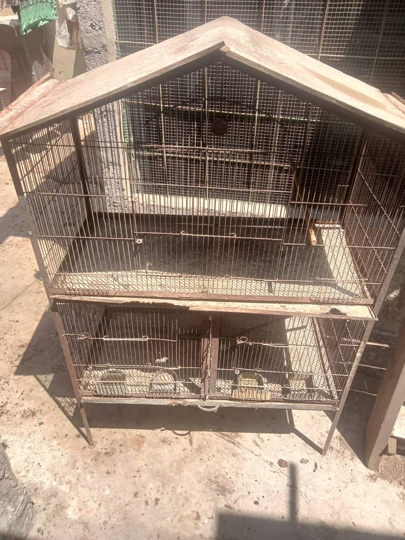 BIRDS CAGE ( FOR PARROTS, DOVE AND ETC ) 3