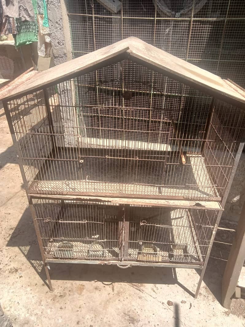 BIRDS CAGE ( FOR PARROTS, DOVE AND ETC ) 5