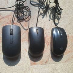 Mouse in bulk quantity 0