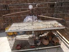 Cage urgent for sale
