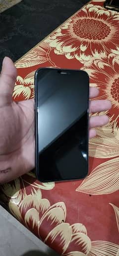 Iphone 11 128 gb 10/10 Pta Aproved