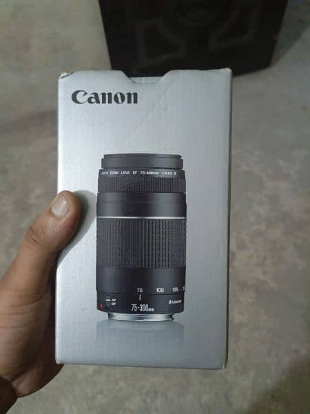 Canon lens 75-300mml 2