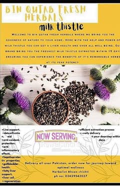 Milk Thistle seed