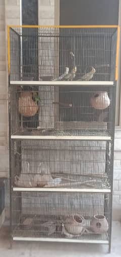 cage and birds
