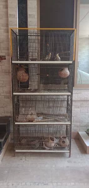 cage and birds 1